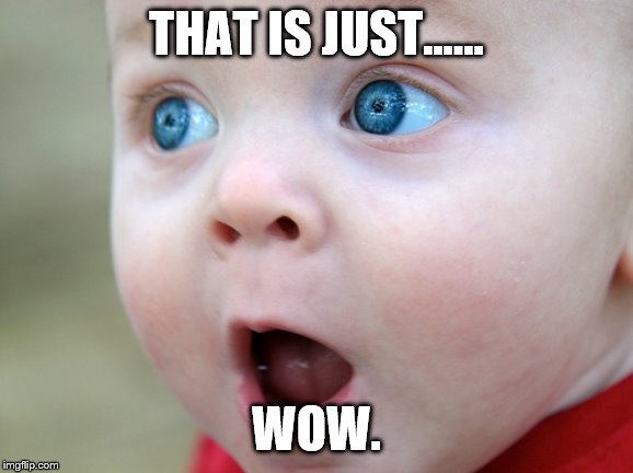 THAT IS JUST...... WOW. | made w/ Imgflip meme maker