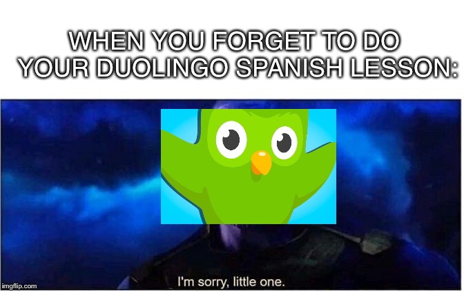 Thanos I'm sorry little one | WHEN YOU FORGET TO DO YOUR DUOLINGO SPANISH LESSON: | image tagged in thanos i'm sorry little one | made w/ Imgflip meme maker