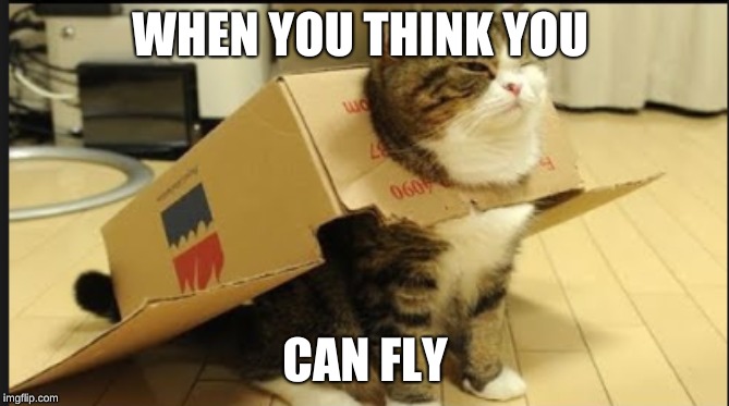 WHEN YOU THINK YOU; CAN FLY | image tagged in funny | made w/ Imgflip meme maker
