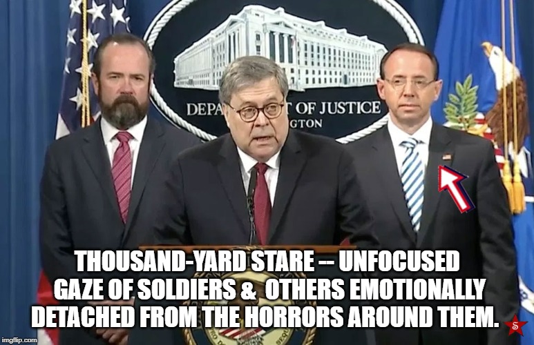 Thousand-yard stare | THOUSAND-YARD STARE -- UNFOCUSED GAZE OF SOLDIERS & 
OTHERS EMOTIONALLY DETACHED FROM THE HORRORS AROUND THEM. | image tagged in barr,rob rosenstein | made w/ Imgflip meme maker