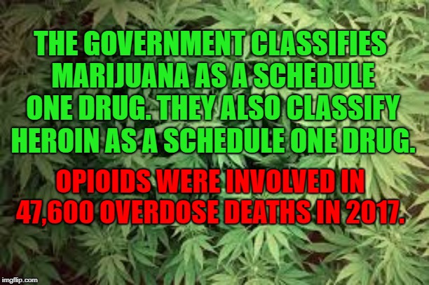 Marijuana ole miss | THE GOVERNMENT CLASSIFIES MARIJUANA AS A SCHEDULE ONE DRUG. THEY ALSO CLASSIFY HEROIN AS A SCHEDULE ONE DRUG. OPIOIDS WERE INVOLVED IN 47,600 OVERDOSE DEATHS IN 2017. | image tagged in marijuana ole miss | made w/ Imgflip meme maker