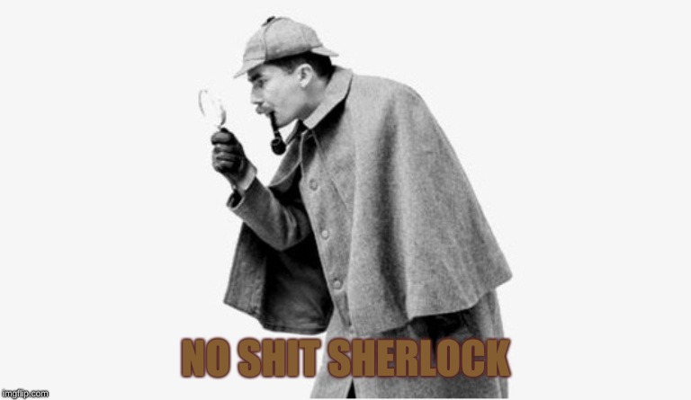 no shit sherlock  | NO SHIT SHERLOCK | image tagged in no shit sherlock | made w/ Imgflip meme maker
