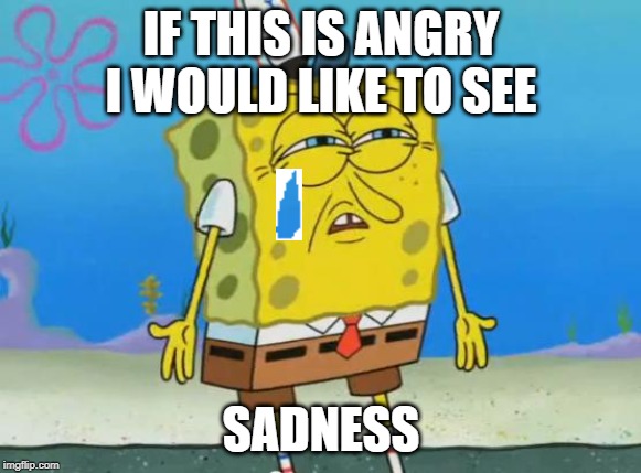 Angry Spongebob | IF THIS IS ANGRY I WOULD LIKE TO SEE; SADNESS | image tagged in angry spongebob | made w/ Imgflip meme maker