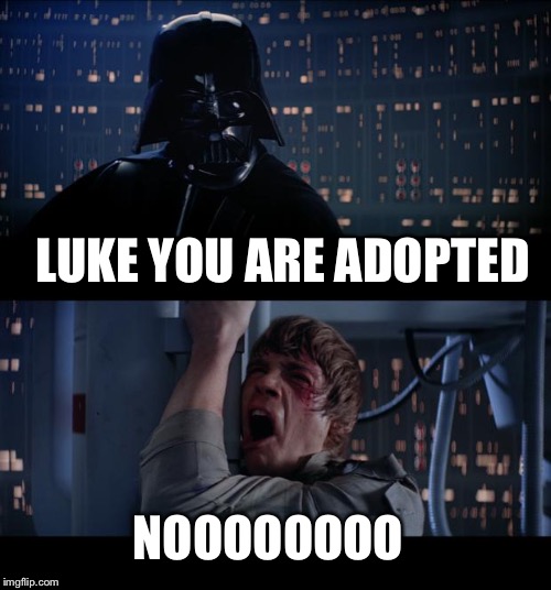 Star Wars No | LUKE YOU ARE ADOPTED; NOOOOOOOO | image tagged in memes,star wars no | made w/ Imgflip meme maker