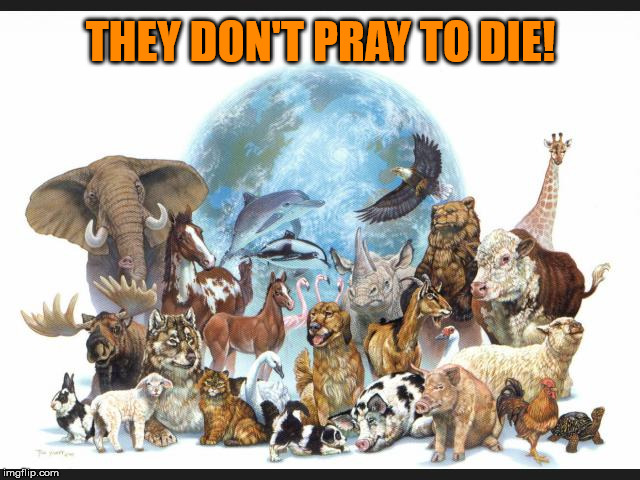 For all of you selfish doomsday pushing fuctard maniacs. | THEY DON'T PRAY TO DIE! | image tagged in the world,animals,life,doomsday,fuctards,maniacs | made w/ Imgflip meme maker