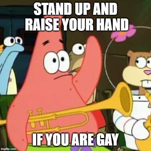 No Patrick Meme | STAND UP AND RAISE YOUR HAND; IF YOU ARE GAY | image tagged in memes,no patrick | made w/ Imgflip meme maker
