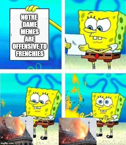 No offense to frenchies but.. idc | NOTRE DAME MEMES ARE OFFENSIVE TO FRENCHIES | image tagged in sponge bob letter burning | made w/ Imgflip meme maker