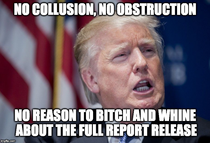 Donald Trump Derp | NO COLLUSION, NO OBSTRUCTION NO REASON TO B**CH AND WHINE ABOUT THE FULL REPORT RELEASE | image tagged in donald trump derp | made w/ Imgflip meme maker