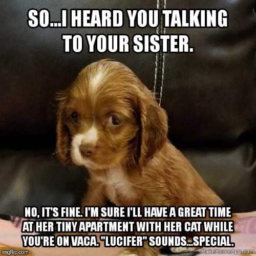 Insecure Puppy | image tagged in insecure puppy | made w/ Imgflip meme maker