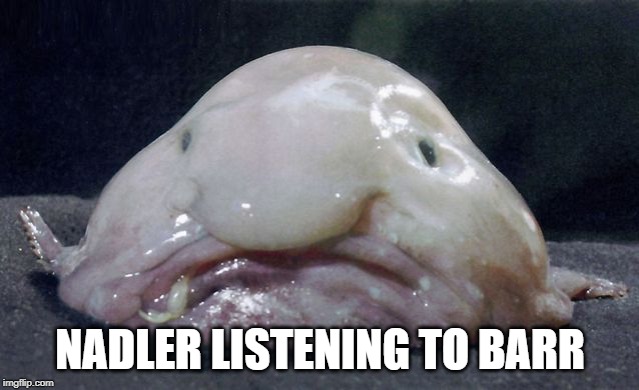 NADLER LISTENING TO BARR | made w/ Imgflip meme maker