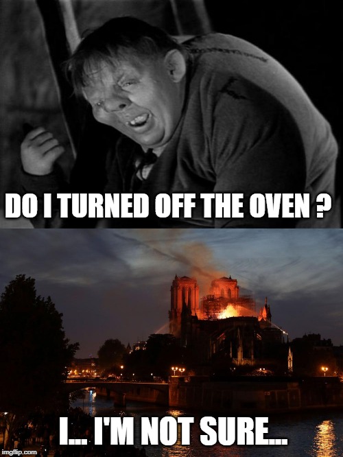 DO I TURNED OFF THE OVEN ? I... I'M NOT SURE... | image tagged in quasimodo | made w/ Imgflip meme maker