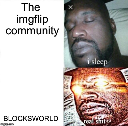 Sleeping Shaq Meme | The imgflip community; BLOCKSWORLD | image tagged in memes,sleeping shaq | made w/ Imgflip meme maker