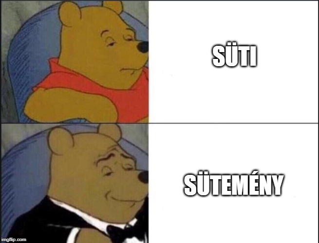 Tuxedo Winnie The Pooh Meme | SÜTI; SÜTEMÉNY | image tagged in winnie the pooh template | made w/ Imgflip meme maker