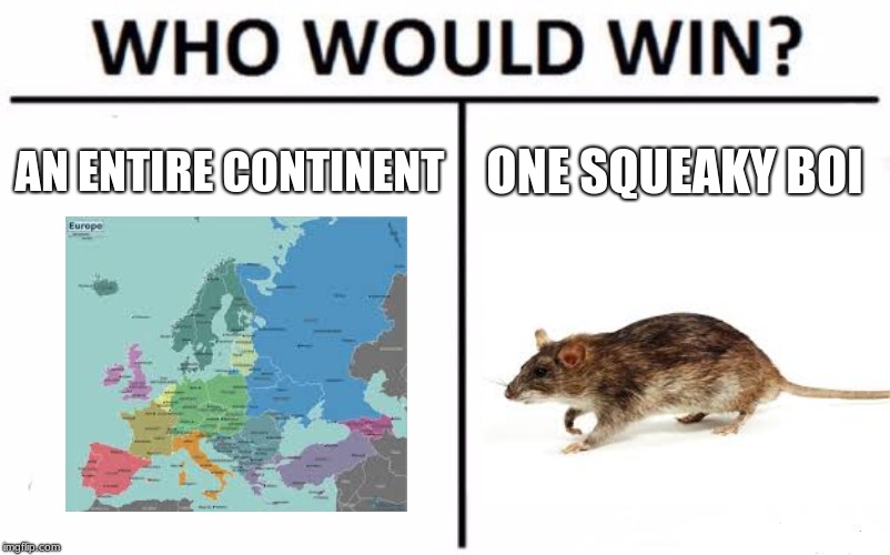 Who Would Win? Meme | AN ENTIRE CONTINENT; ONE SQUEAKY BOI | image tagged in memes,who would win | made w/ Imgflip meme maker