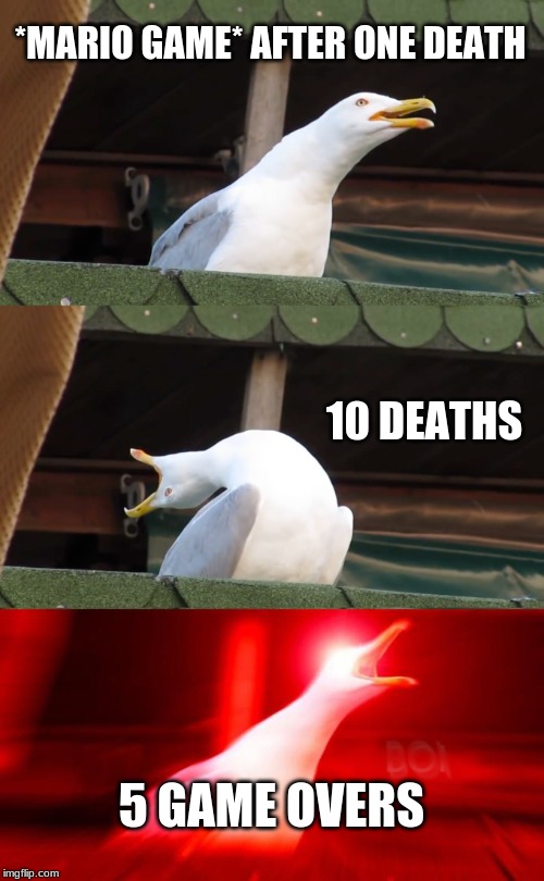 Inhaling seagull |  *MARIO GAME* AFTER ONE DEATH; 10 DEATHS; 5 GAME OVERS | image tagged in inhaling seagull | made w/ Imgflip meme maker