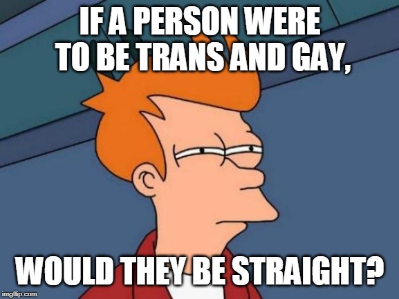 Futurama Fry | IF A PERSON WERE TO BE TRANS AND GAY, WOULD THEY BE STRAIGHT? | image tagged in memes,futurama fry | made w/ Imgflip meme maker