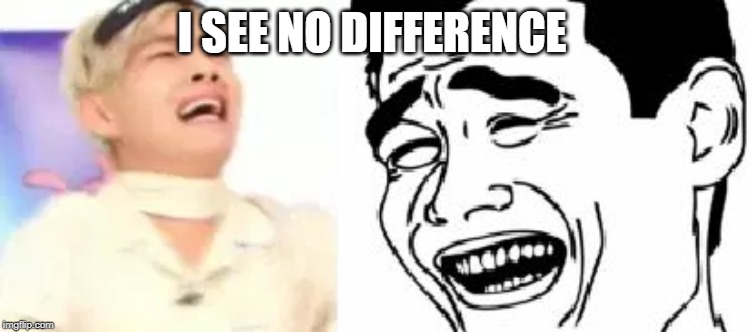 I SEE NO DIFFERENCE | image tagged in bts v | made w/ Imgflip meme maker