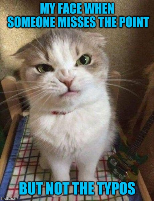 Angry cat | MY FACE WHEN SOMEONE MISSES THE POINT BUT NOT THE TYPOS | image tagged in angry cat | made w/ Imgflip meme maker