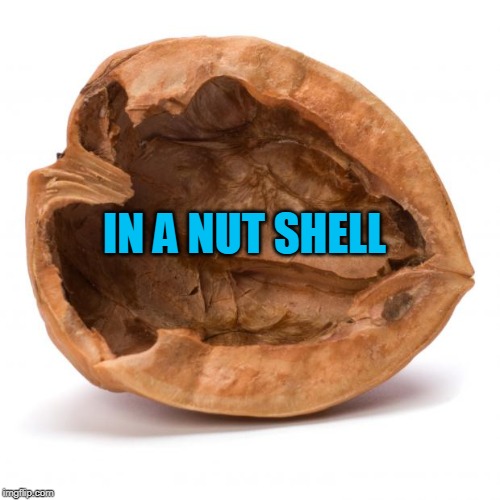 Nutshell | IN A NUT SHELL | image tagged in nutshell | made w/ Imgflip meme maker