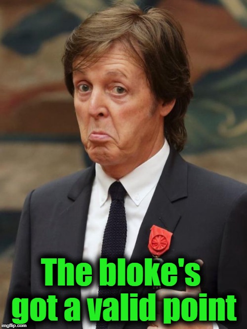 Paul McCartney Approves  | The bloke's got a valid point | image tagged in paul mccartney approves | made w/ Imgflip meme maker