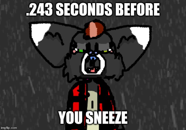 I PAUSED THE ANIMATION I MADE AND GOT THIS LMAO | .243 SECONDS BEFORE; YOU SNEEZE | image tagged in furry animation paused at the best moment,furry,art,memes,sneeze | made w/ Imgflip meme maker