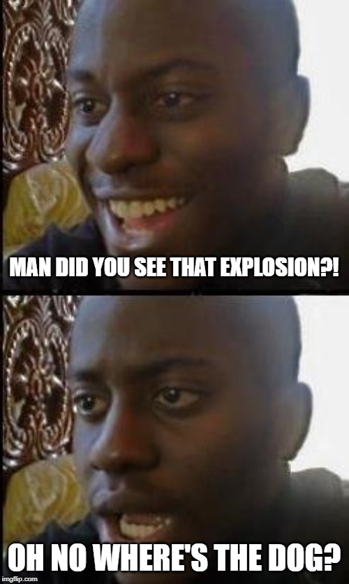 Disappointed Black Guy | MAN DID YOU SEE THAT EXPLOSION?! OH NO WHERE'S THE DOG? | image tagged in disappointed black guy | made w/ Imgflip meme maker