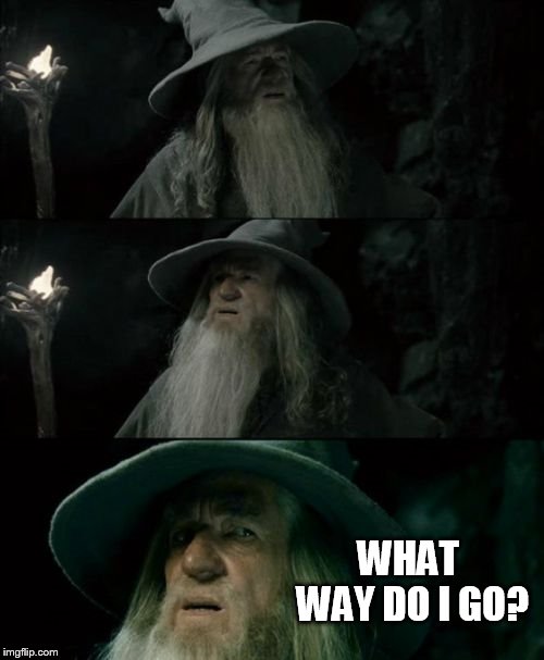 Confused Gandalf Meme | WHAT WAY DO I GO? | image tagged in memes,confused gandalf | made w/ Imgflip meme maker