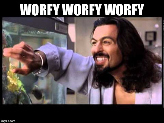 Fishey Jigalo Bigalow | WORFY WORFY WORFY | image tagged in fishey jigalo bigalow | made w/ Imgflip meme maker