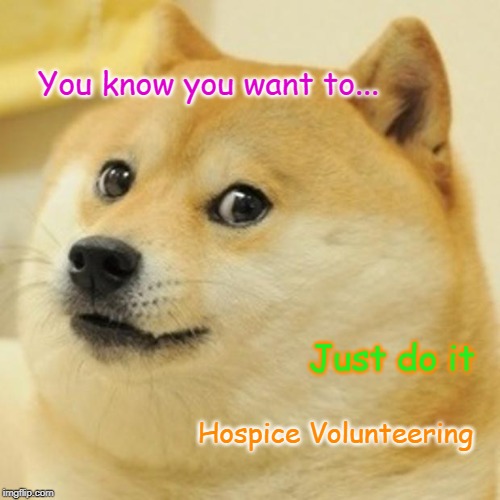 Doge Meme | You know you want to... Just do it; Hospice Volunteering | image tagged in memes,doge | made w/ Imgflip meme maker
