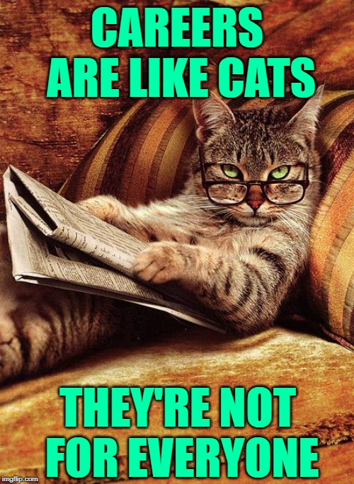 Careers Are Like Cats | CAREERS ARE LIKE CATS; THEY'RE NOT FOR EVERYONE | image tagged in cat reading,careers,sayings,funny cats,lolcats,life lessons | made w/ Imgflip meme maker