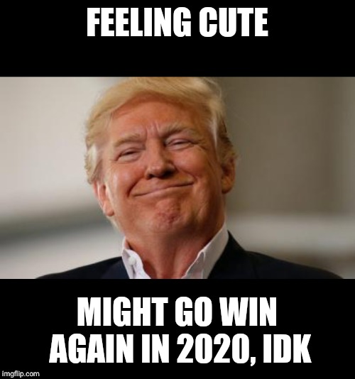 FEELING CUTE; MIGHT GO WIN AGAIN IN 2020, IDK | image tagged in trump,lol,politics lol,politics,political meme,political | made w/ Imgflip meme maker