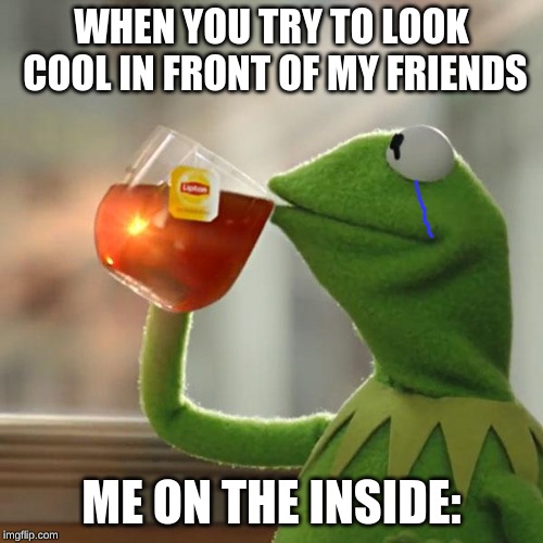 But That's None Of My Business Meme | WHEN YOU TRY TO LOOK COOL IN FRONT OF MY FRIENDS; ME ON THE INSIDE: | image tagged in memes,but thats none of my business,kermit the frog | made w/ Imgflip meme maker