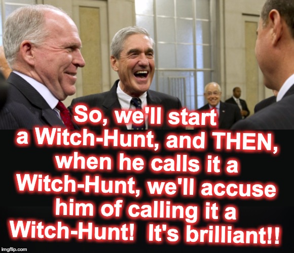 So, we'll start a Witch-Hunt, and THEN, when he calls it a Witch-Hunt, we'll accuse him of calling it a Witch-Hunt!  It's brilliant!! | image tagged in mueller | made w/ Imgflip meme maker
