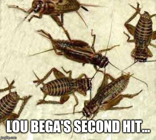 Crickets | LOU BEGA'S SECOND HIT... | image tagged in crickets | made w/ Imgflip meme maker