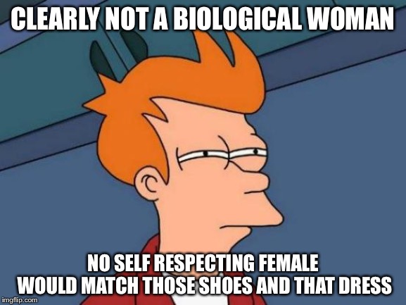 Futurama Fry Meme | CLEARLY NOT A BIOLOGICAL WOMAN NO SELF RESPECTING FEMALE WOULD MATCH THOSE SHOES AND THAT DRESS | image tagged in memes,futurama fry | made w/ Imgflip meme maker