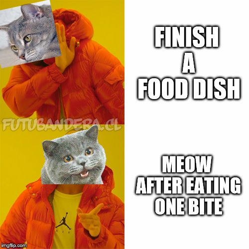 Cats are idiots | FINISH A FOOD DISH; MEOW AFTER EATING ONE BITE | image tagged in drake,cat food,meow meow meow | made w/ Imgflip meme maker