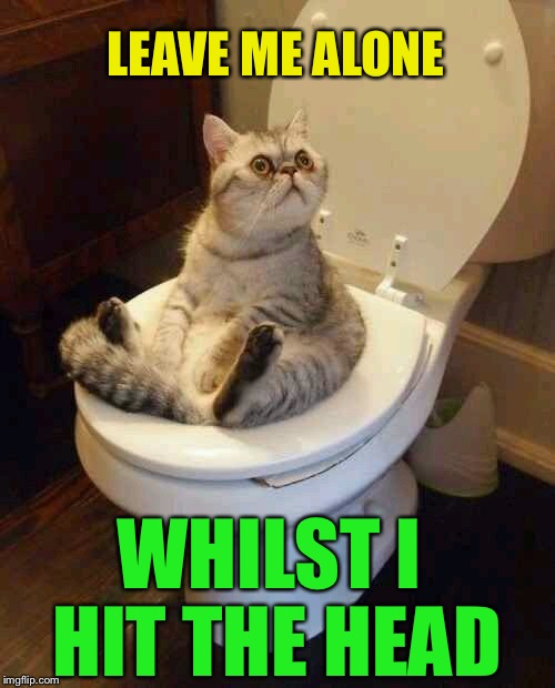 Toilet cat | LEAVE ME ALONE WHILST I HIT THE HEAD | image tagged in toilet cat | made w/ Imgflip meme maker