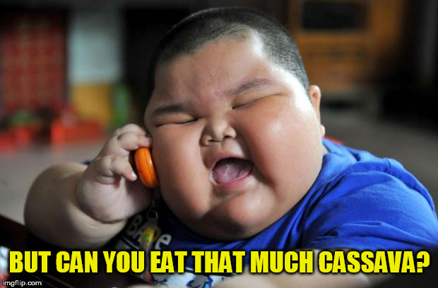 Fat Asian Kid | BUT CAN YOU EAT THAT MUCH CASSAVA? | image tagged in fat asian kid | made w/ Imgflip meme maker