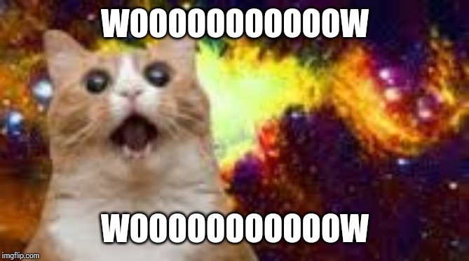 WOW CAT! 2 (in space) | WOOOOOOOOOOOW WOOOOOOOOOOOW | image tagged in wow cat 2 in space | made w/ Imgflip meme maker