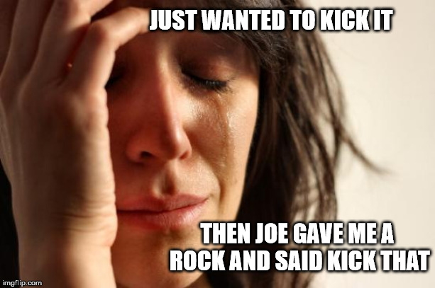 First World Problems | JUST WANTED TO KICK IT; THEN JOE GAVE ME A ROCK AND SAID KICK THAT | image tagged in memes,first world problems | made w/ Imgflip meme maker