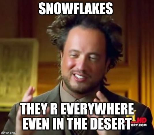 Ancient Aliens Meme | SNOWFLAKES; THEY R EVERYWHERE EVEN IN THE DESERT | image tagged in memes,ancient aliens | made w/ Imgflip meme maker