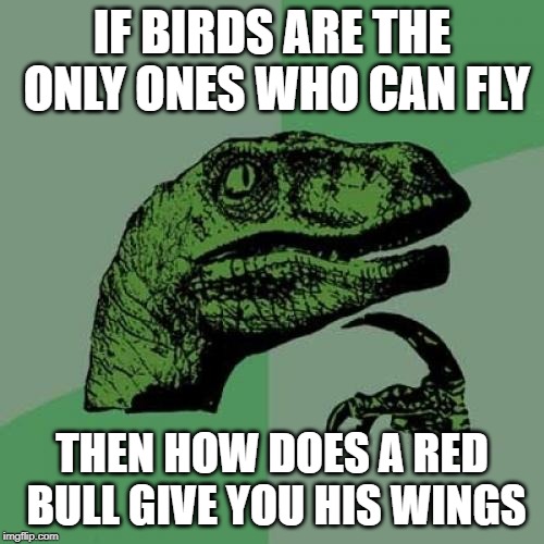 Philosoraptor | IF BIRDS ARE THE ONLY ONES WHO CAN FLY; THEN HOW DOES A RED BULL GIVE YOU HIS WINGS | image tagged in memes,philosoraptor | made w/ Imgflip meme maker