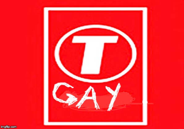 T-Gay | image tagged in t-series | made w/ Imgflip meme maker