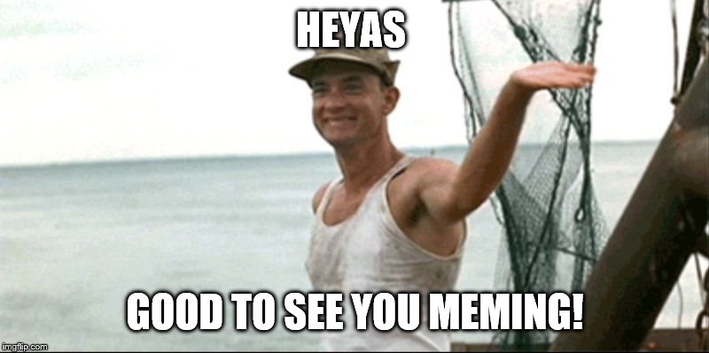 Forest Gump waving | HEYAS GOOD TO SEE YOU MEMING! | image tagged in forest gump waving | made w/ Imgflip meme maker