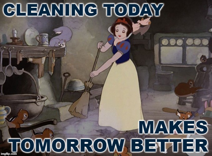 Spring Cleaning Snow White | CLEANING TODAY; MAKES TOMORROW BETTER | image tagged in snow white cleaning,housework,princess,disney,housewife,spring cleanig | made w/ Imgflip meme maker