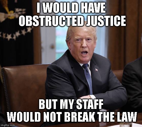 This is Why Trump Fired Everybody | I WOULD HAVE OBSTRUCTED JUSTICE; BUT MY STAFF WOULD NOT BREAK THE LAW | image tagged in government corruption,liar,conman,donald trump is an idiot | made w/ Imgflip meme maker