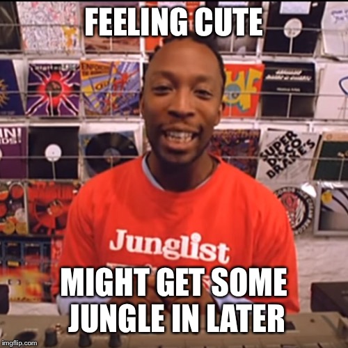 Feeling cute jungle | FEELING CUTE; MIGHT GET SOME JUNGLE IN LATER | image tagged in cute,jungle,memes | made w/ Imgflip meme maker