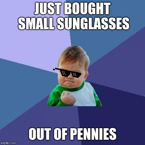 Success Kid Meme | JUST BOUGHT SMALL SUNGLASSES; OUT OF PENNIES | image tagged in memes,success kid | made w/ Imgflip meme maker