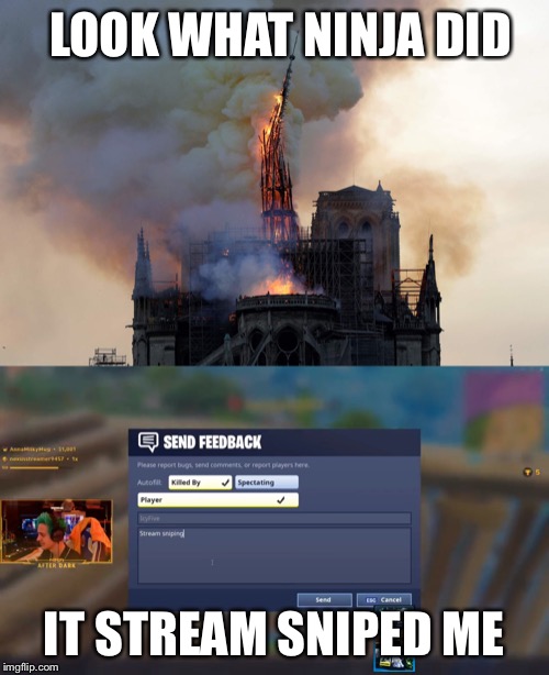 LOOK WHAT NINJA DID; IT STREAM SNIPED ME | image tagged in notre dame fire | made w/ Imgflip meme maker