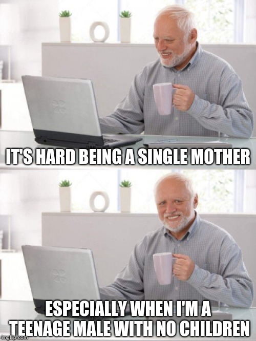 Get it? | IT'S HARD BEING A SINGLE MOTHER; ESPECIALLY WHEN I'M A TEENAGE MALE WITH NO CHILDREN | image tagged in old guy pc | made w/ Imgflip meme maker